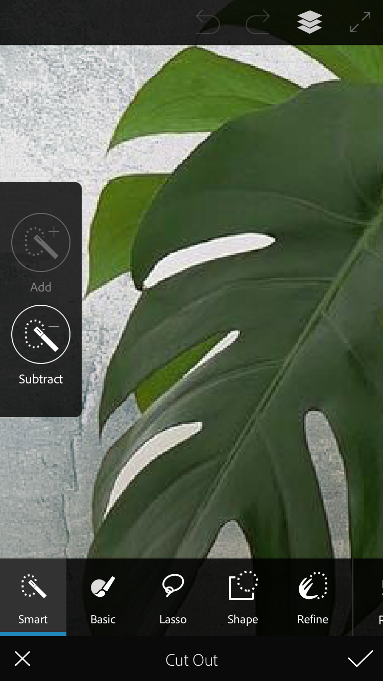 zoom for details changing backdrop of photo in Photoshop Mix