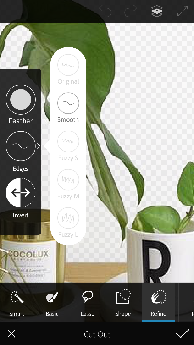 zoom in to refine edge while changing backdrop of photo in Photoshop Mix