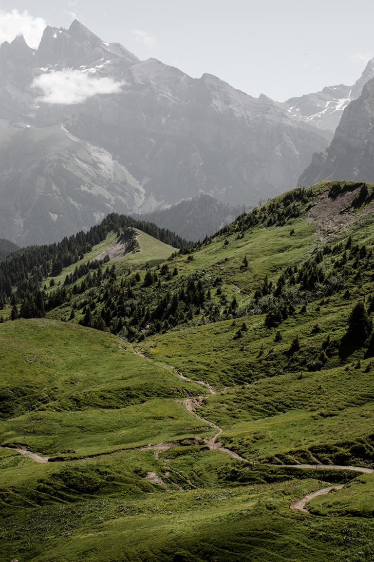 Morzine mountains by Jasmin White