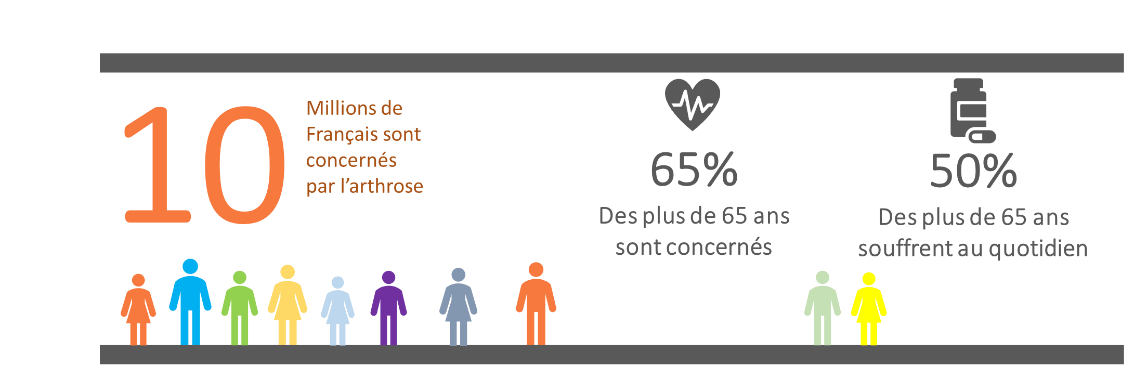 volume de la population concernée par l'arthrose