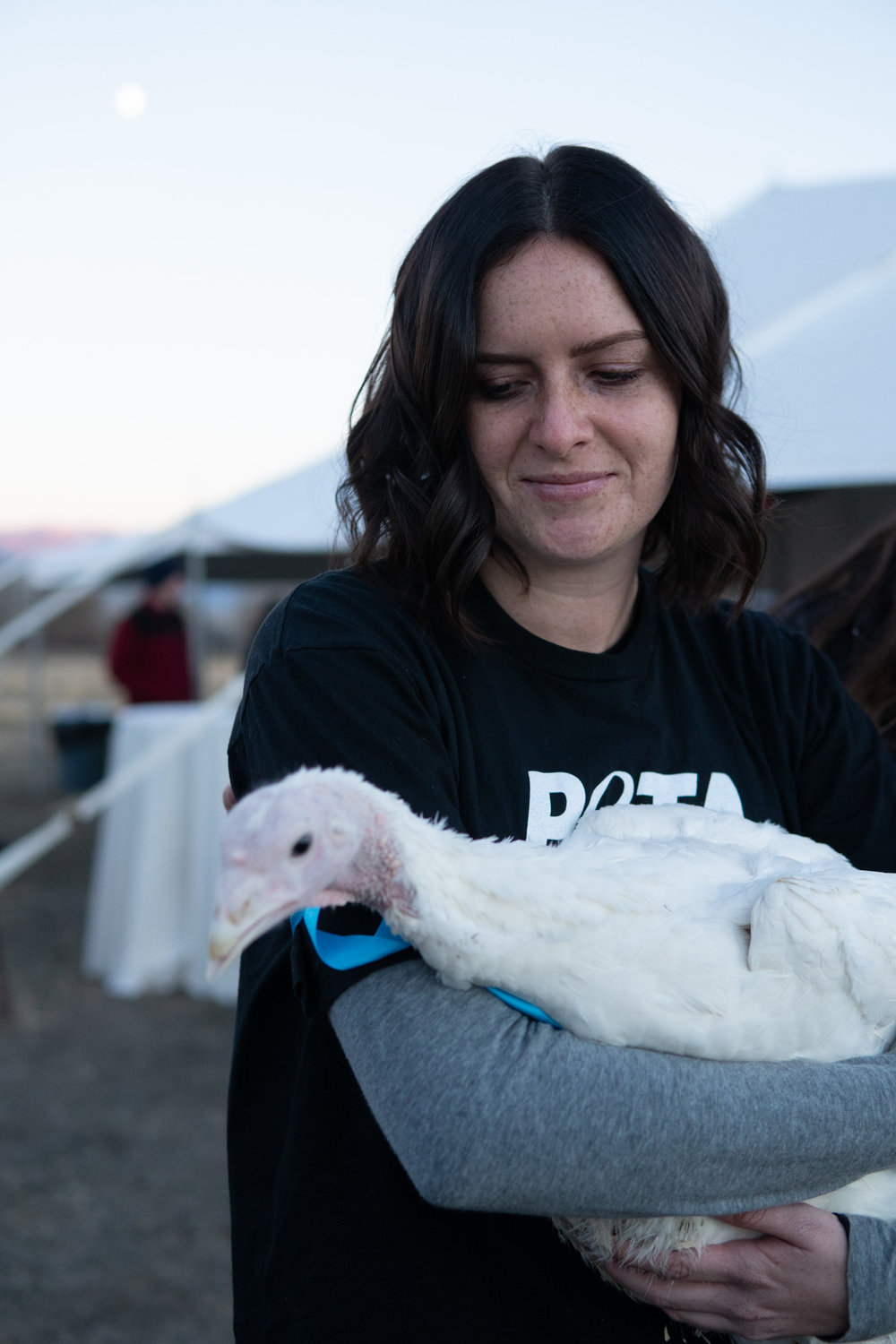   4a. An unedited RAW file shot during the Animal Liberation Western Convergence 2018 in SLC.  