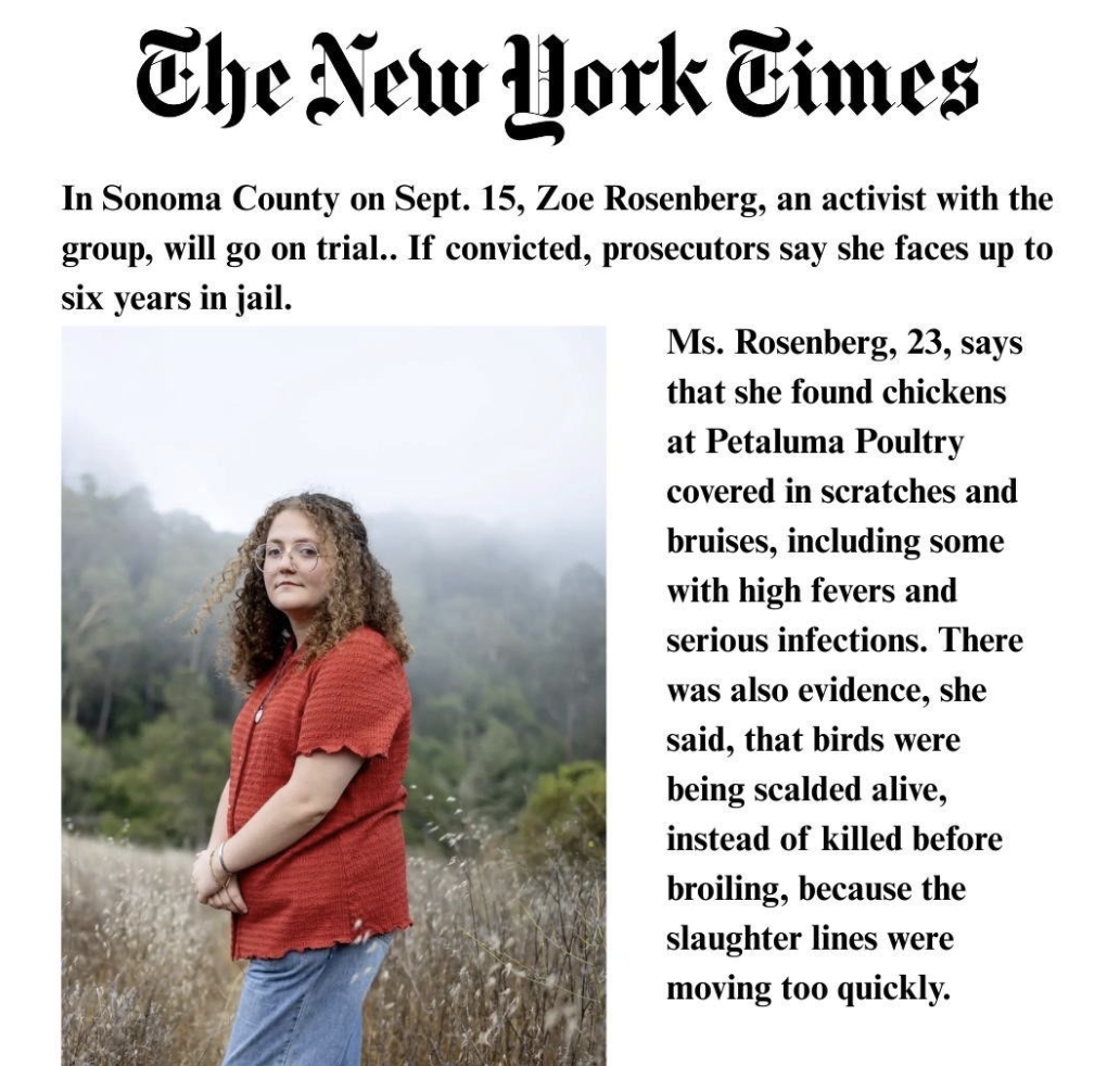 Read the article