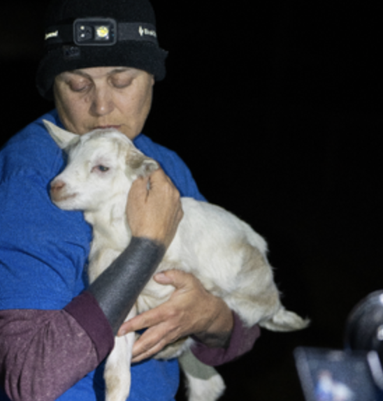 All donations matched until Jan 1st!