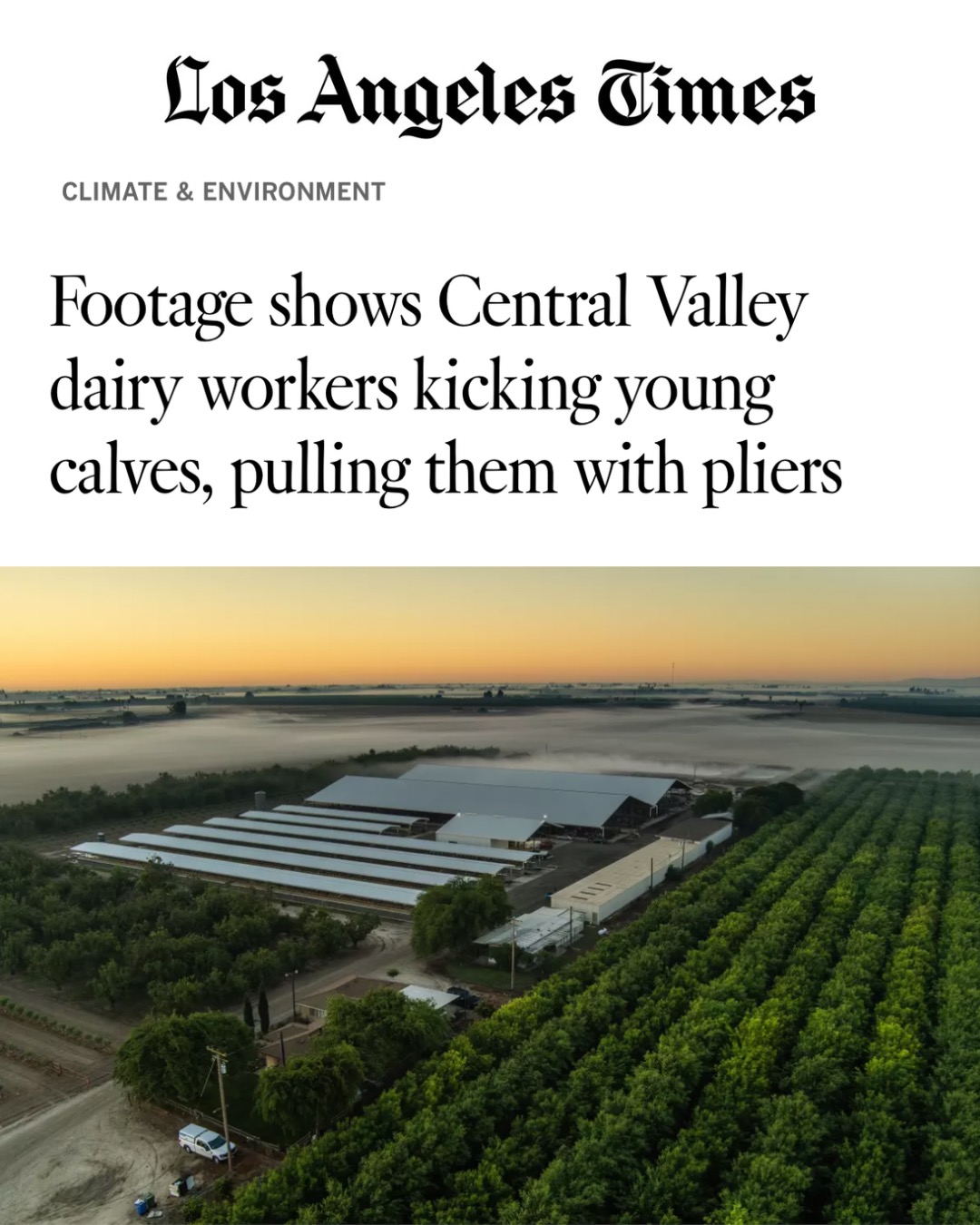 Read the article