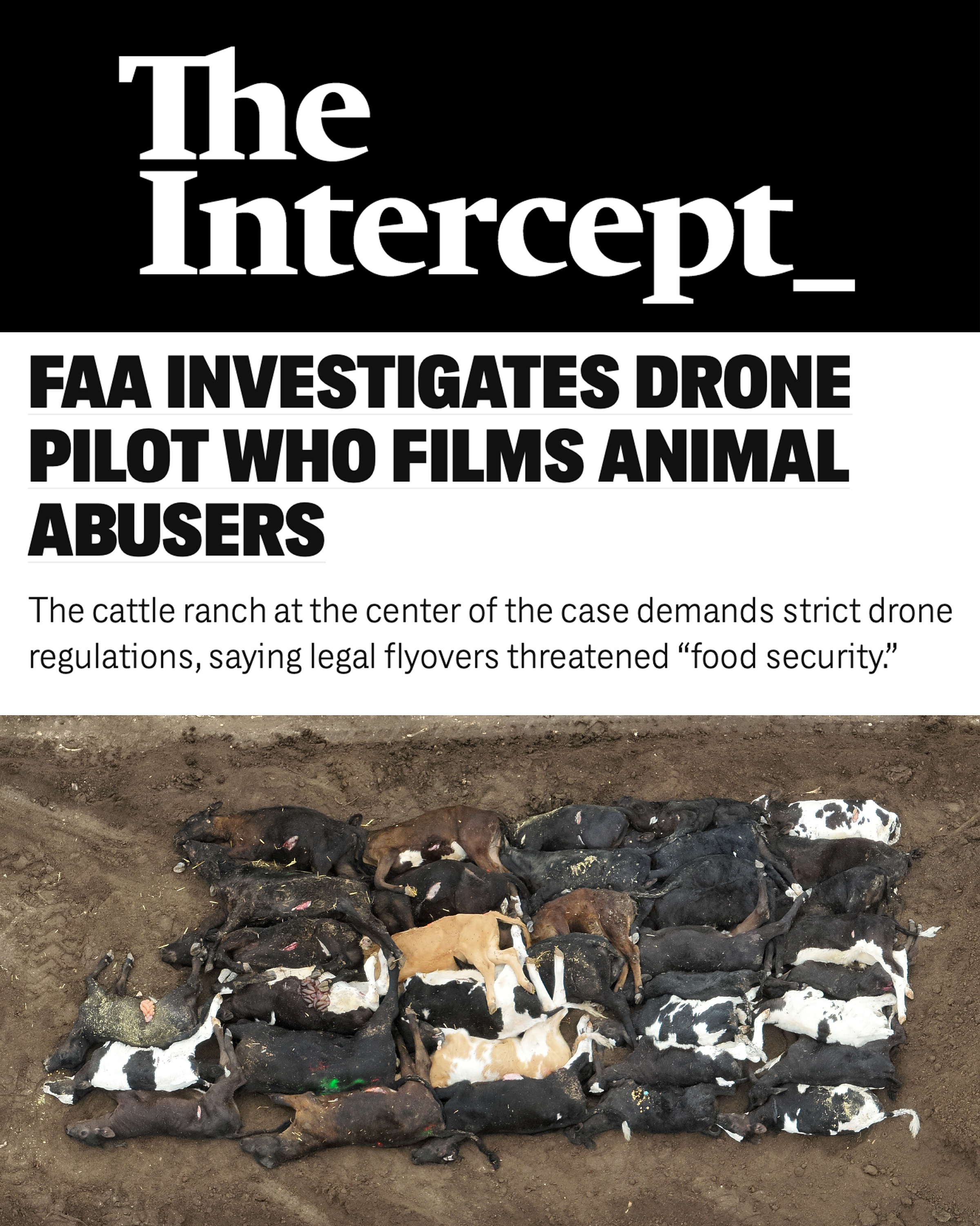 Read the article