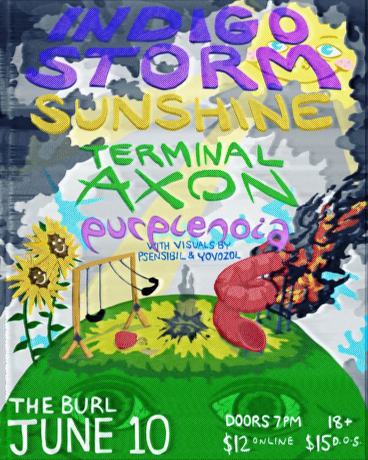 purplenoia gig poster 4