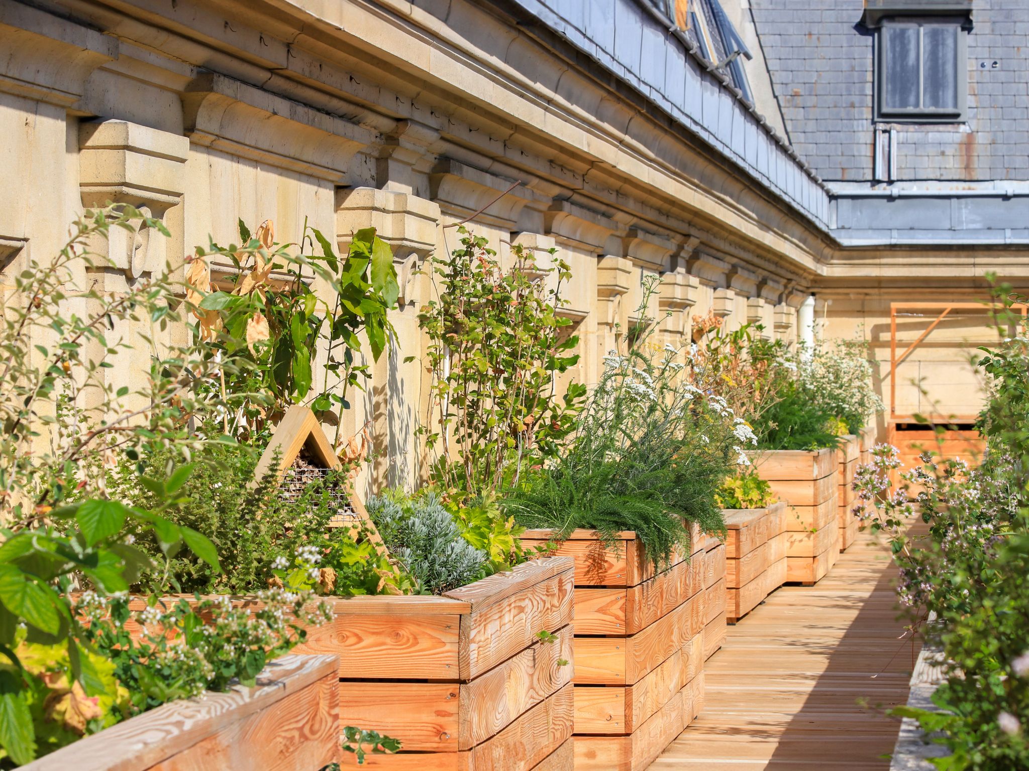 We were awarded the 2025 Innovative Living Systems Award at the World Green Infrastructure Network!