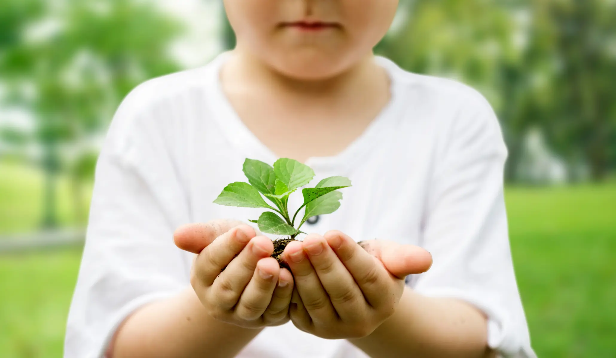 Tree growing in one hand