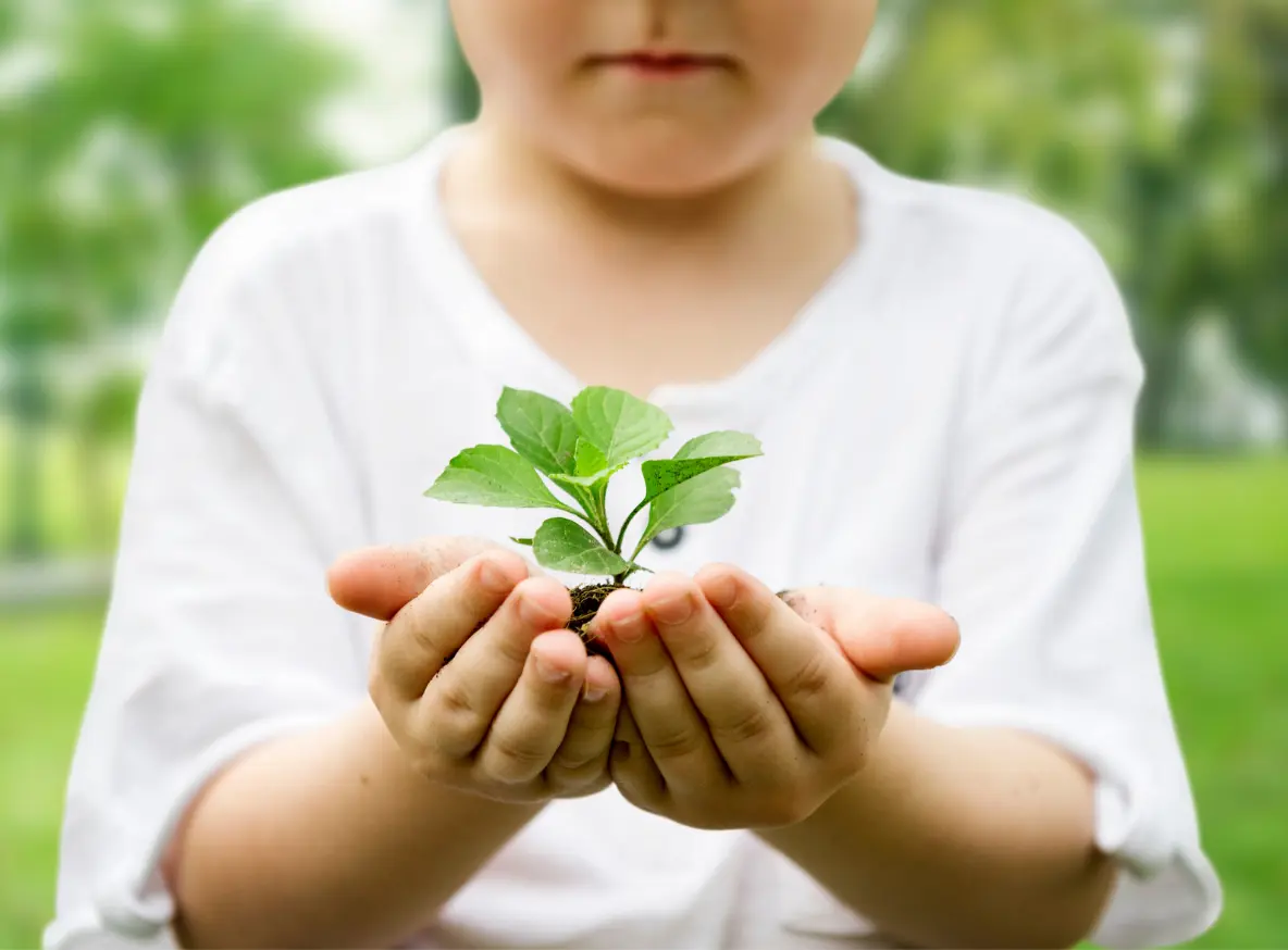 Tree growing in one hand