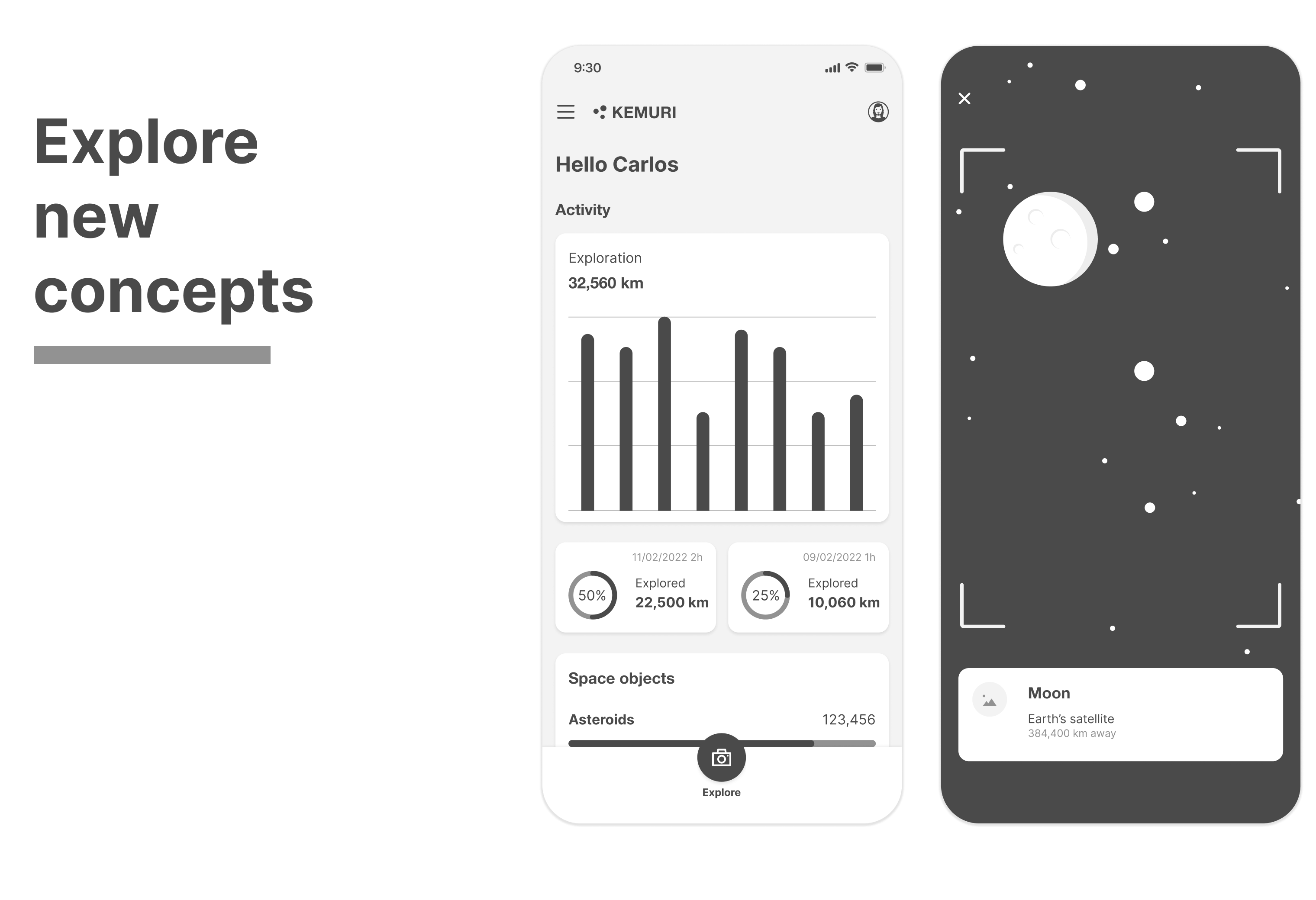 Mobile app created with the kemuri wireframe kit
