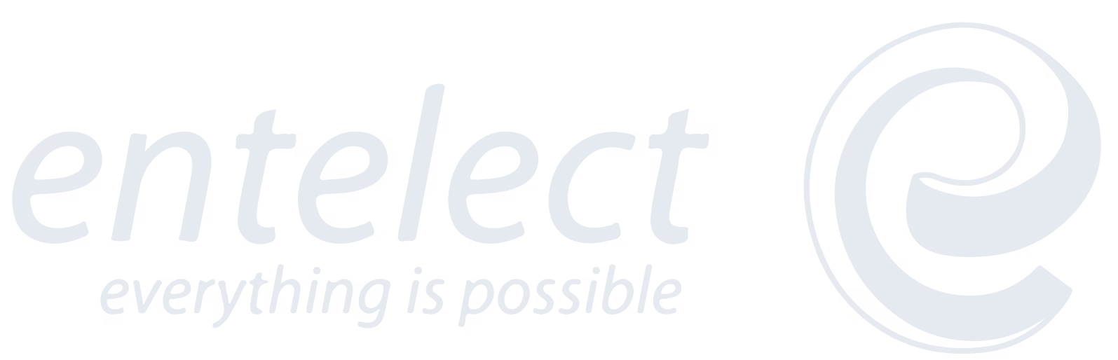 Entelect logo. Entelect uses OfferZen to source developers.