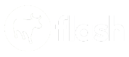 Flash company logo