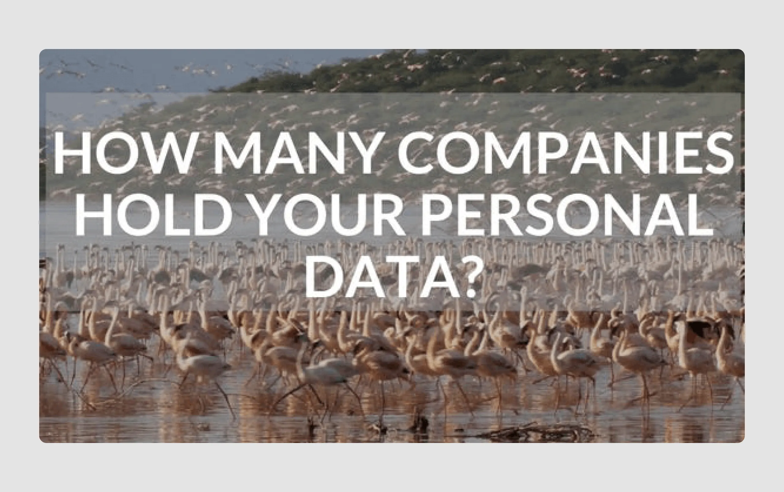 Data visualization at pitch decks for startup