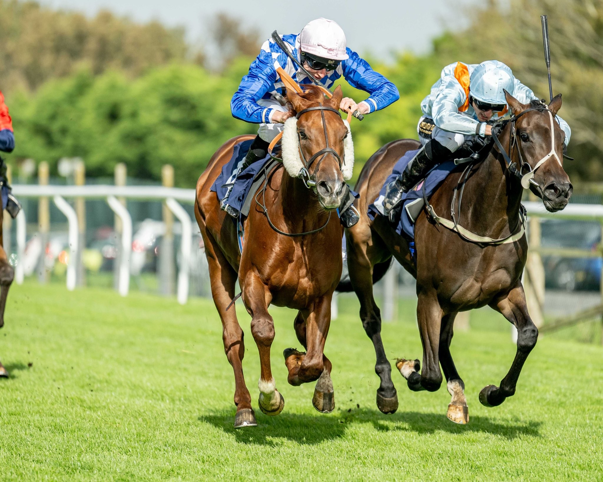 William Knight Racing | BEACH PARTEE gets off the mark!