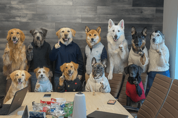 Amanda Vagle - Photo - Dec 15, 25