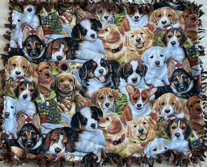 Christie Schuh - Photo - Jan 26, 26