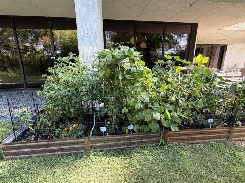 Green Committee - Aug 25, 26