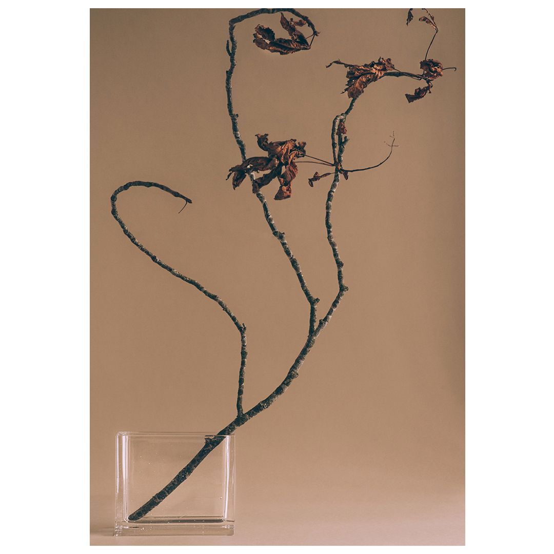 The Monoblokk Vase by Anderssen and Voll embodies one of Ned