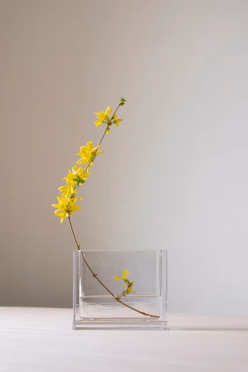 Summer with Nedre Foss