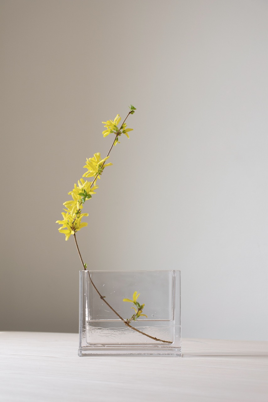 Summer with Nedre Foss