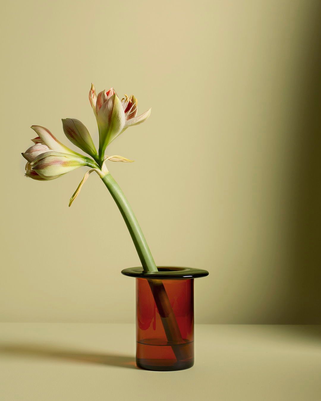 Norwegian for rhubarb, the Rabarbra Vase distills Anderssen 