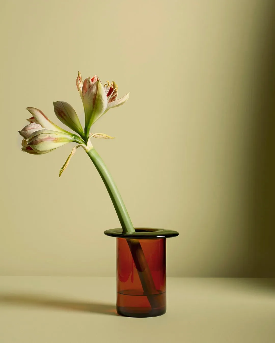 Norwegian for rhubarb, the Rabarbra Vase distills Anderssen 