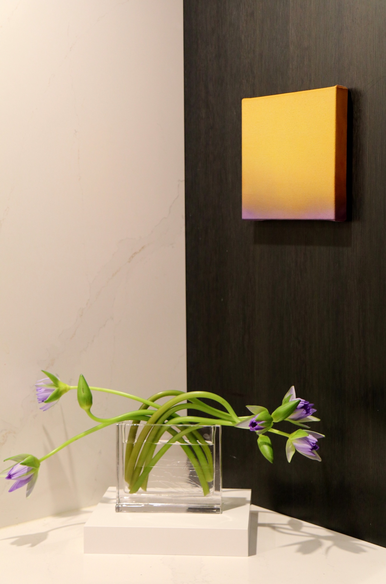 Collaborative Exhibition with Kate Serebrianskaia at Föenander Galleries