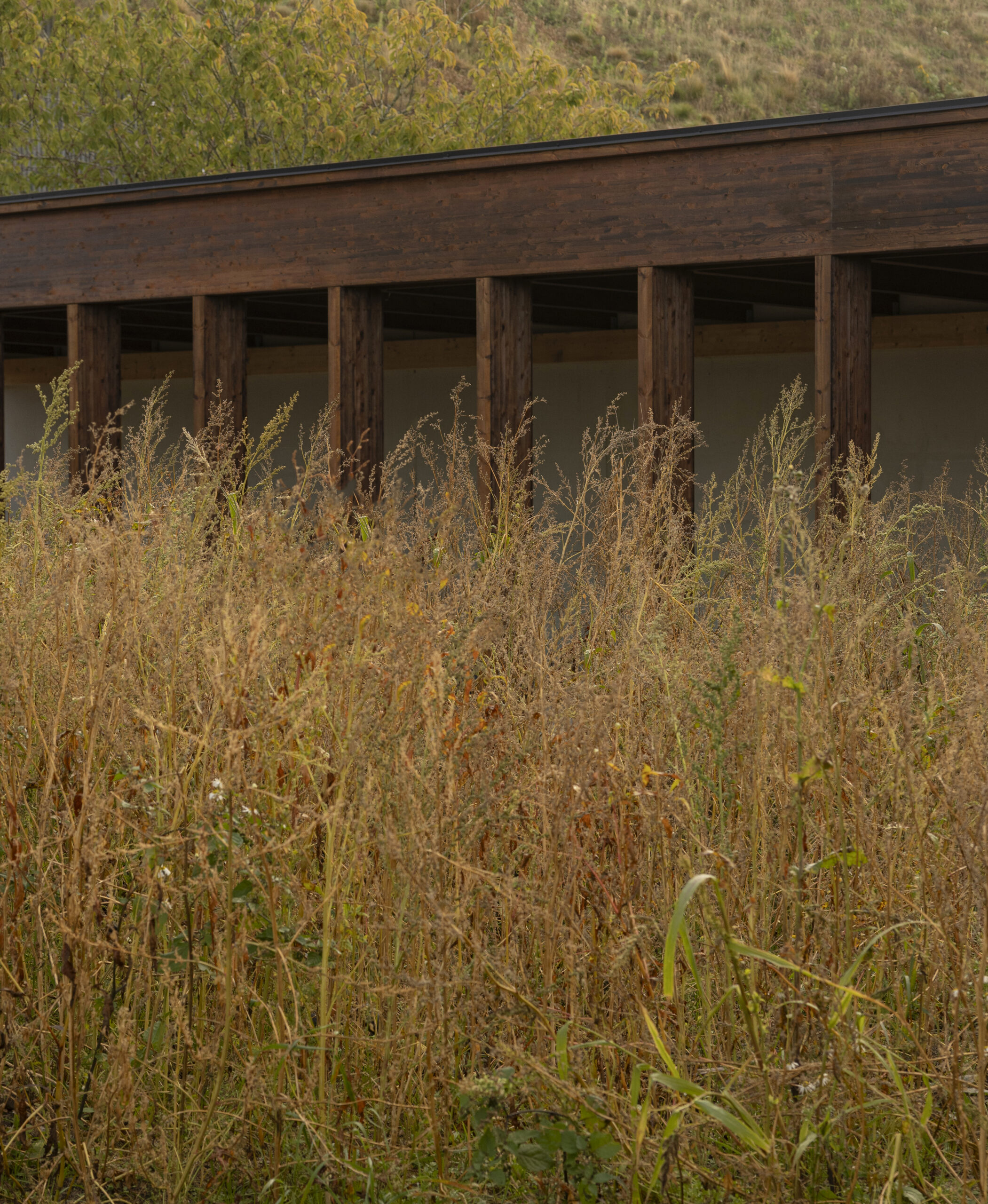 Vinhuset, Karimoku Case 12 by Norm Architects