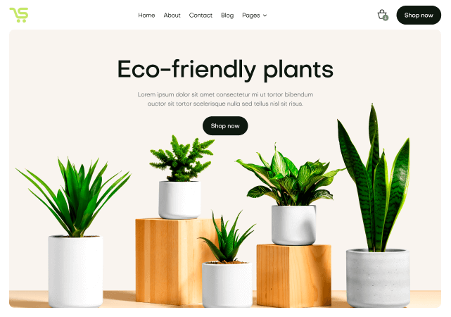 Ecommerce Store Webflow Template