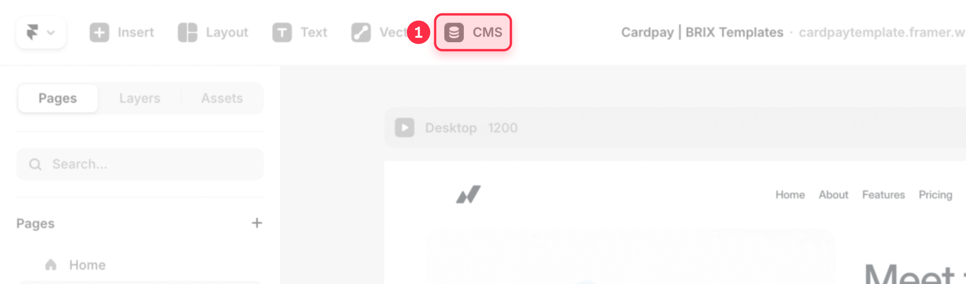 How to access the CMS panel in Framer to unindex items