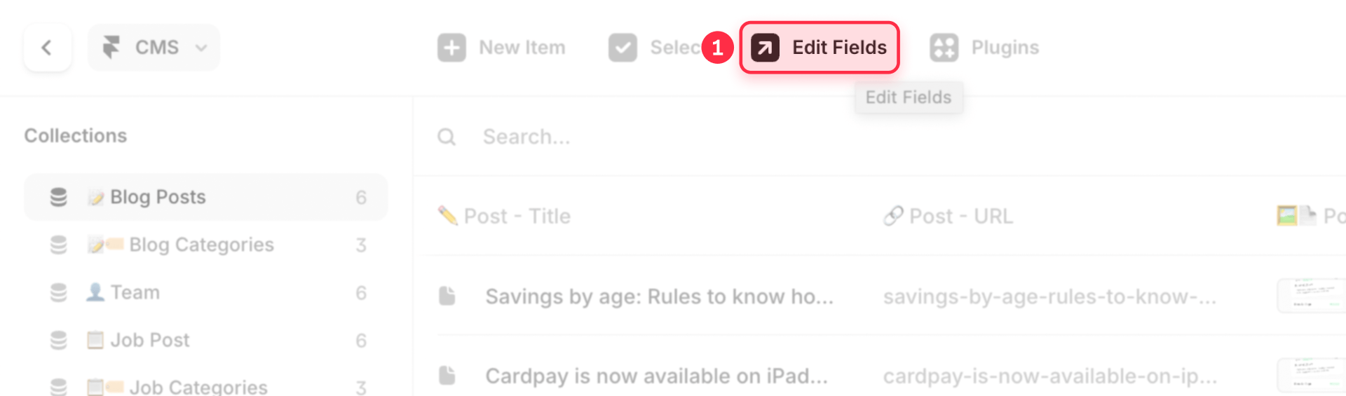 How to edit CMS fields for robots tag in Framer
