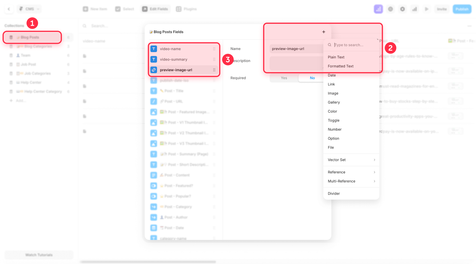How To Create CMS Fields In Framer Blog Posts For Dynamic Video Schema