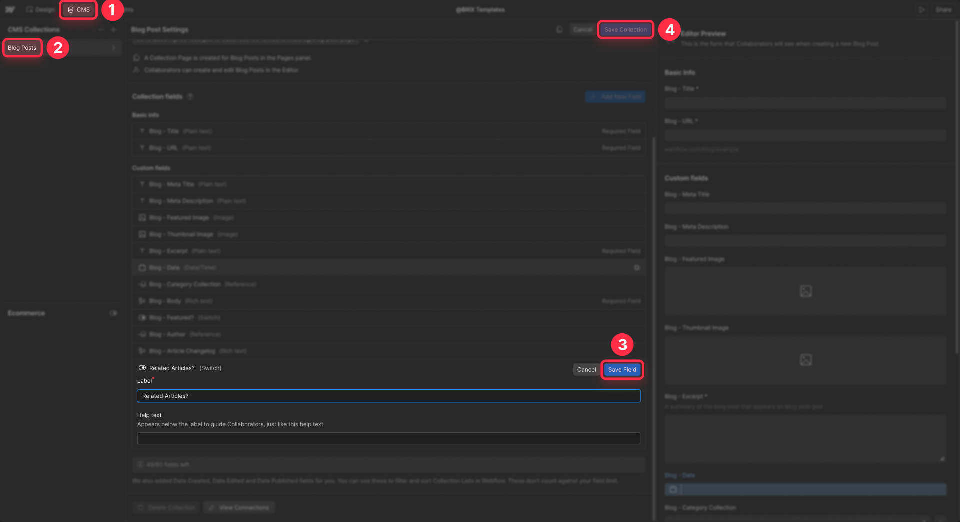 How To Add A Switch Field To Control Visibility In Webflow