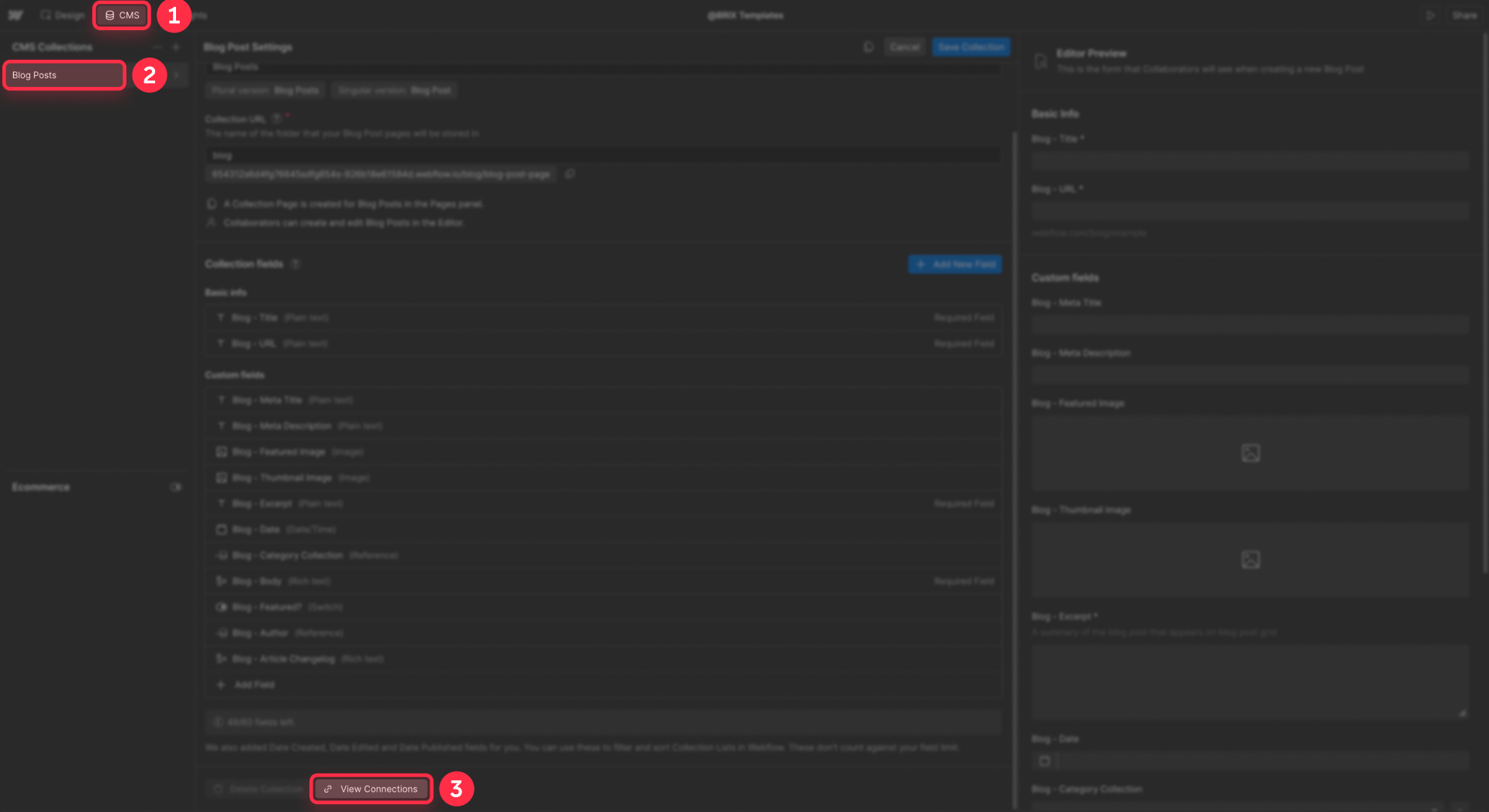 How To Open The View Connections Panel In Webflow