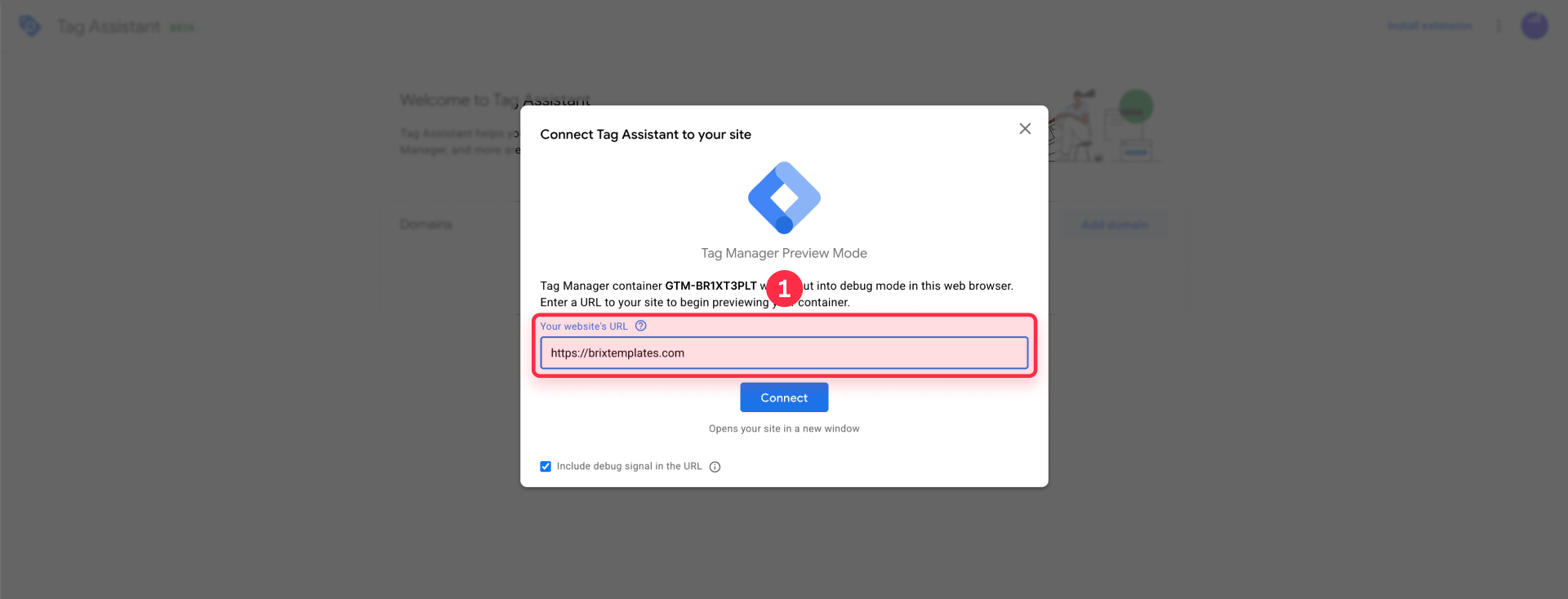 How To Connect Tag Assistant To Your Framer Website