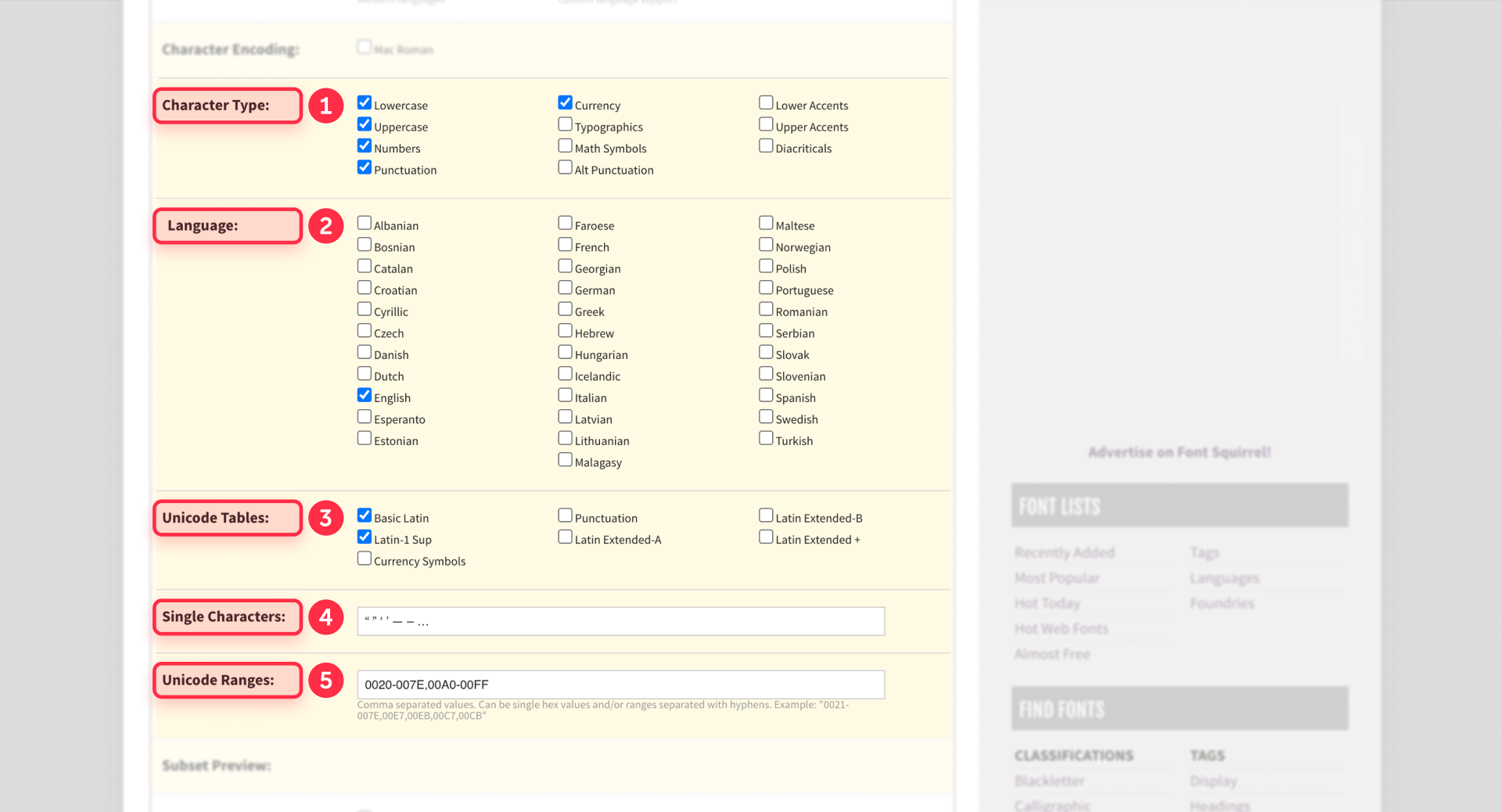 How To Configure The Custom Subsetting Options For Characters In Font Squirrel