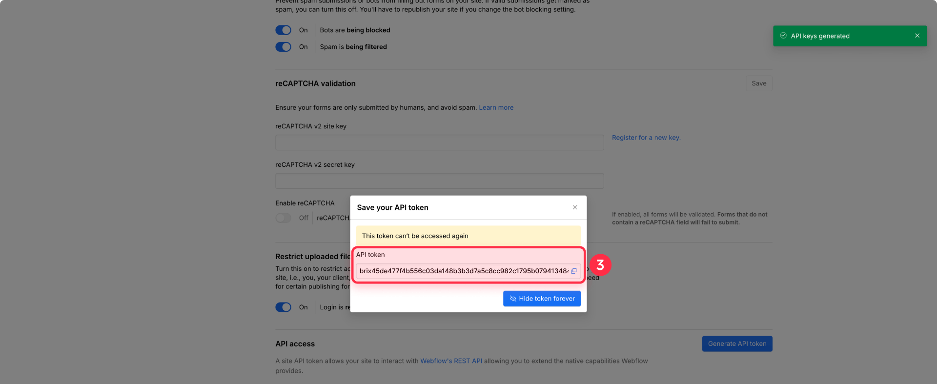 How To Copy And Save The Webflow API Token Securely