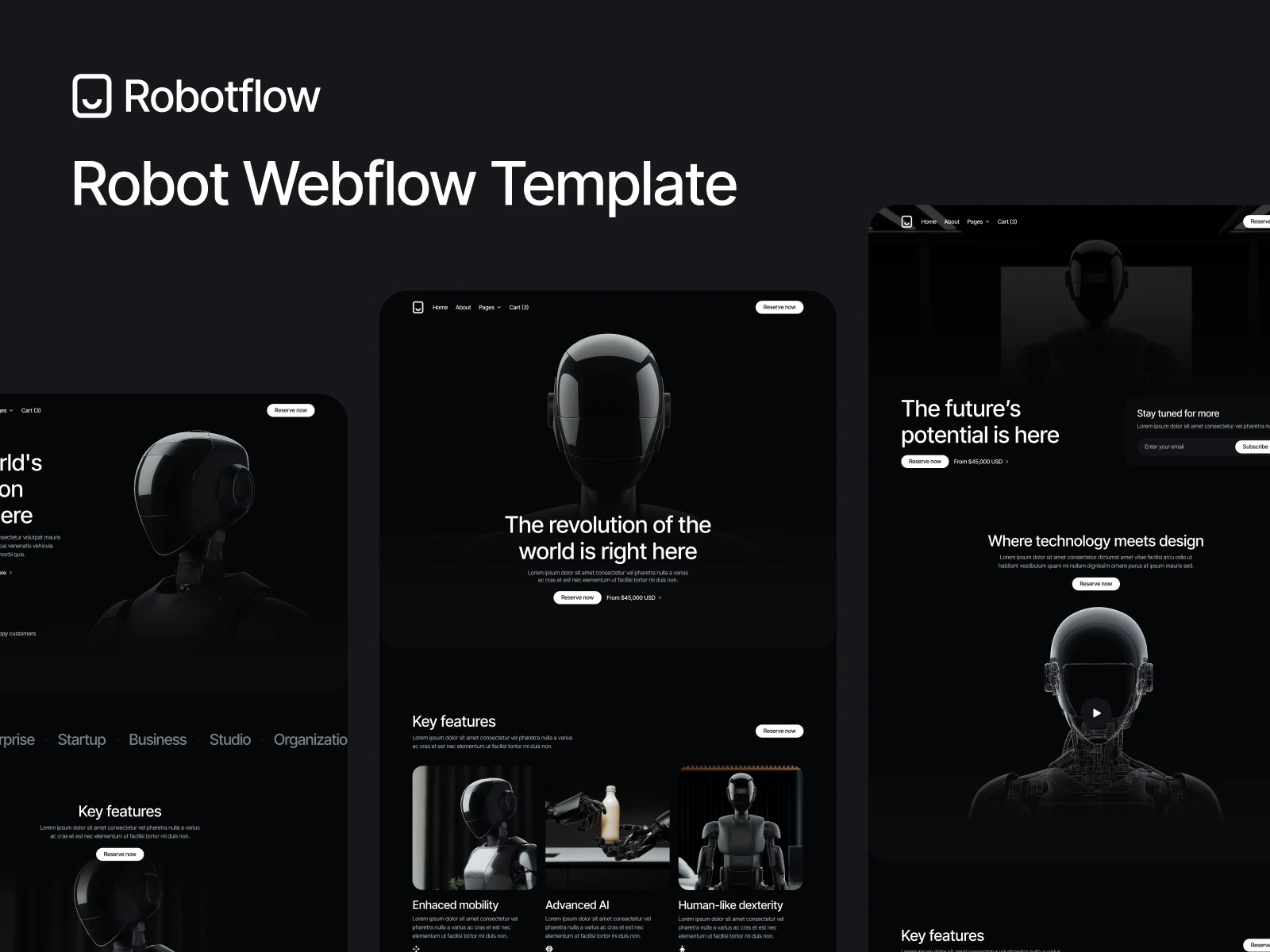 Robot AI Development Webflow Template