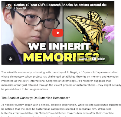 Butterflies Can Pass Memories Of Their Experiences Through Generations