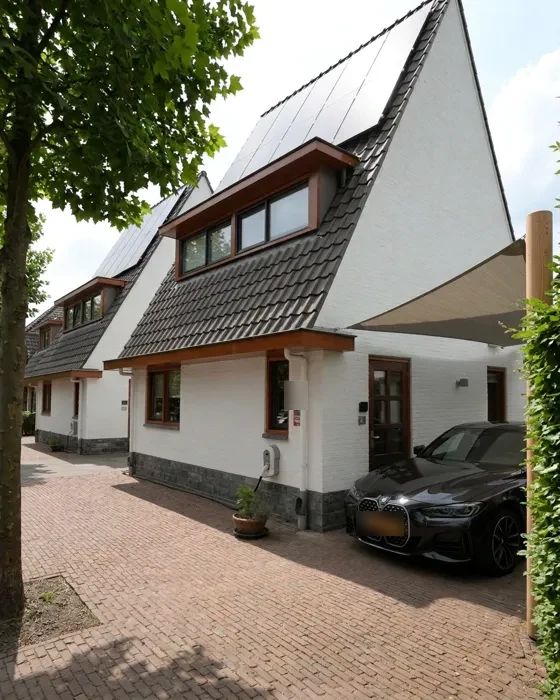 Kleurvariant bruin
