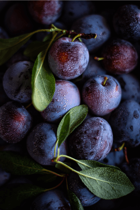 purple fruits