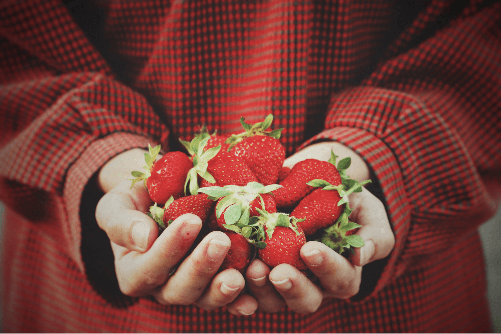 15 Red Fruits and Vegetables you Should Eat