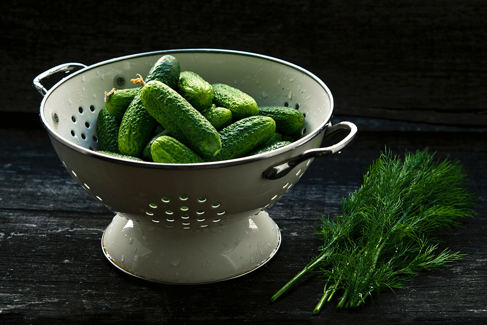 Half Sour Pickles Recipe