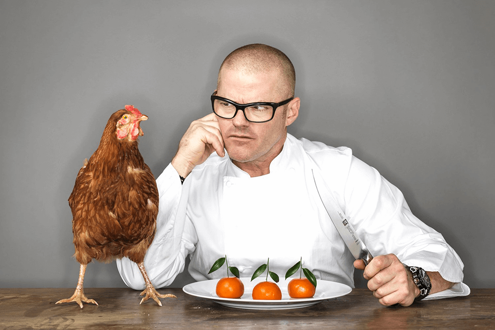 The Fat Duck Cookbook Review | The Cooking World