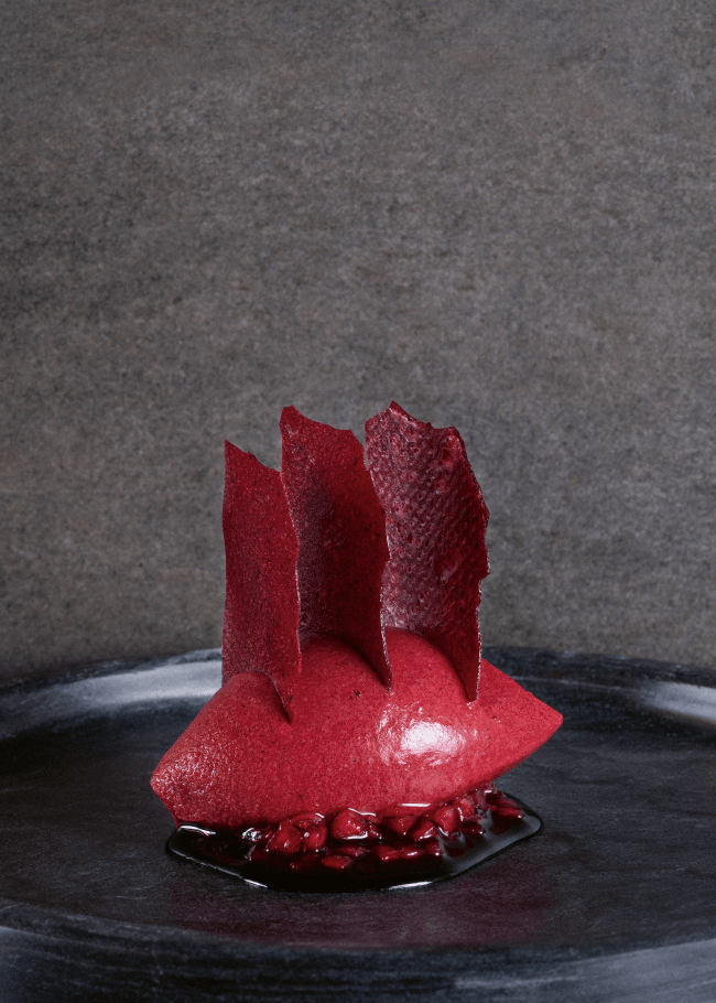 Oteque Cookbook Review