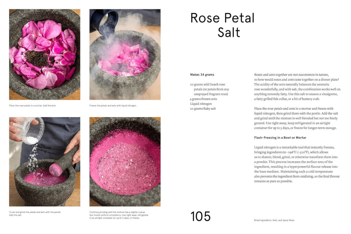 The Noma Guide to Building Flavour Review
