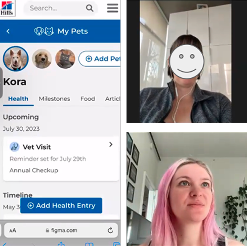 Mid-fi usability testing on a video call, with one user (face censored) and Sarina moderating the test.