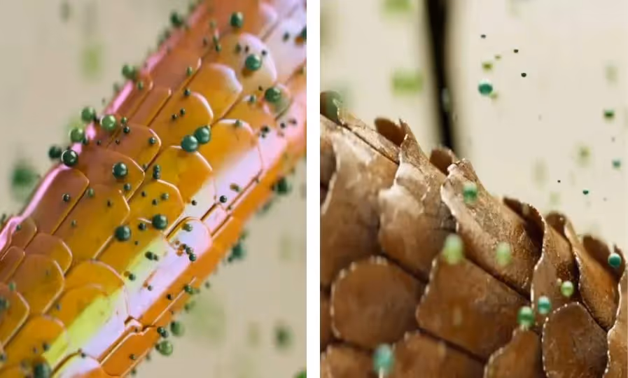 CGI in beauty and skincare advertising with Cinema 4D