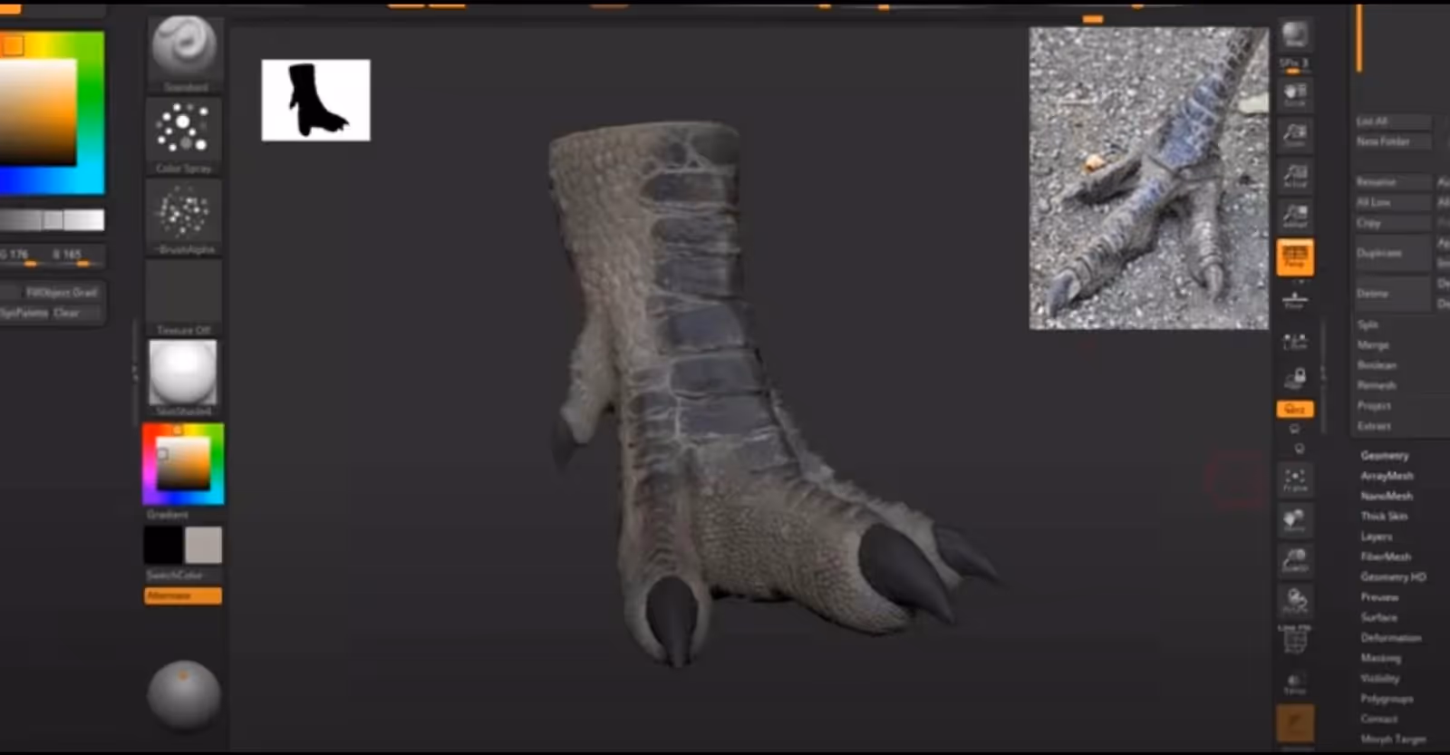 Zbrush and Cinema 4d Integration