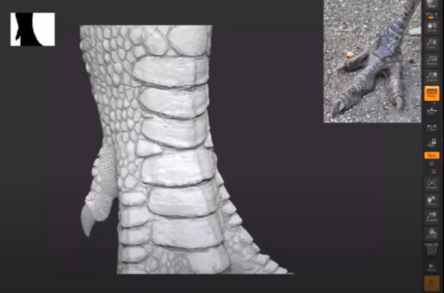 Zbrush and Cinema 4d Integration